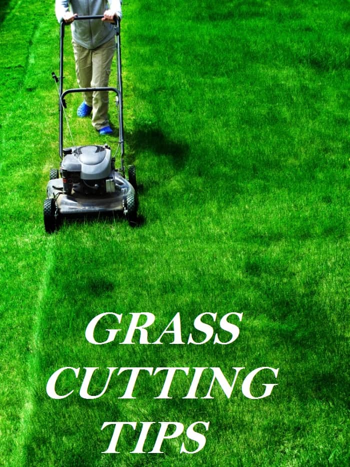 grass cutting tips