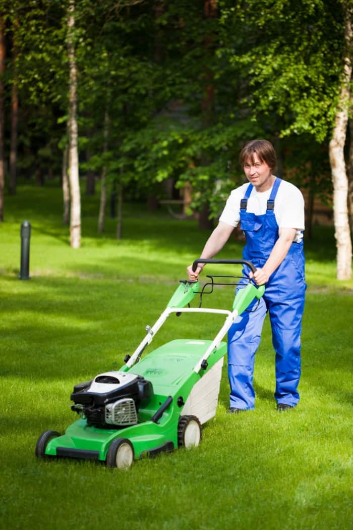 lawn mowing yard services