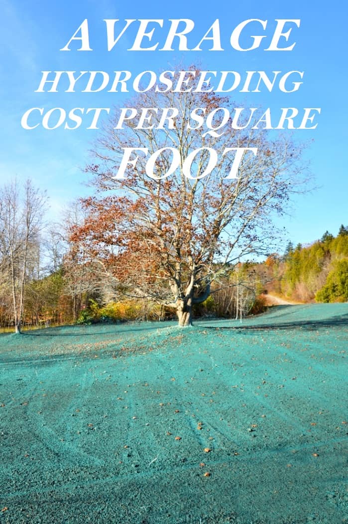 hydroseeding cost per square foot