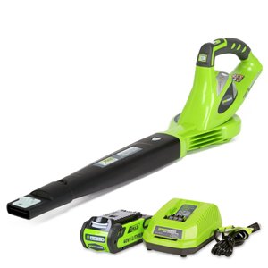 Greenworks 40V 150 MPH Variable Speed Cordless Blower, 2.0 AH Battery Included 24252