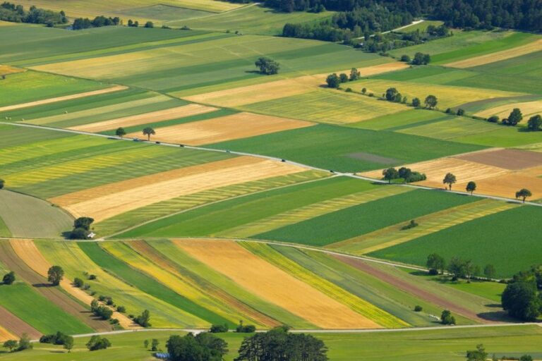 How Big Is 100 Acres What Does 100 Acres Look Like Groomed Yard